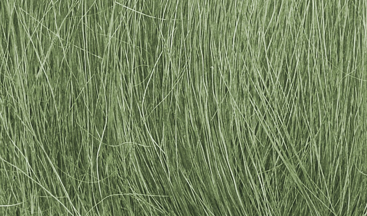 Medium Green Field Grass FG174