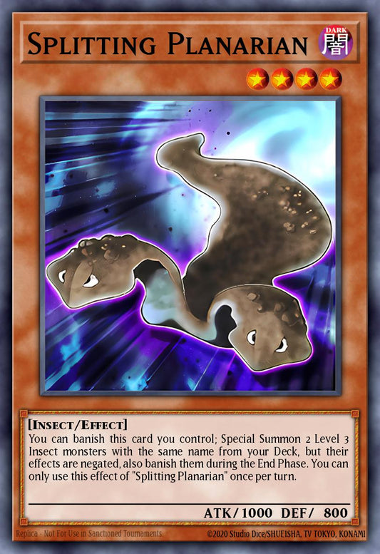 ROTA-EN100 "Splitting Planarian” Super Rare