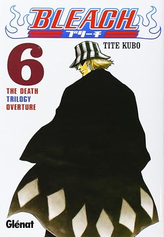 Bleach, Vol. 6