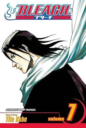 Bleach, Vol. 7