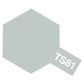 SPRAY TS-81 ROYAL LIGHT GRAY
