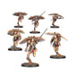 PREORDER RELEASE DATE: 17/10/26 CUSTODES: VENATARI SODALITY (COLLECTION ONLY)
