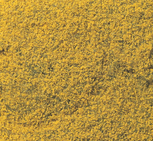 Yellow Flowering Foliage F176