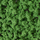 Bushes Medium Green  FC1646