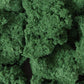 Dark Green Foliage Clusters FC59