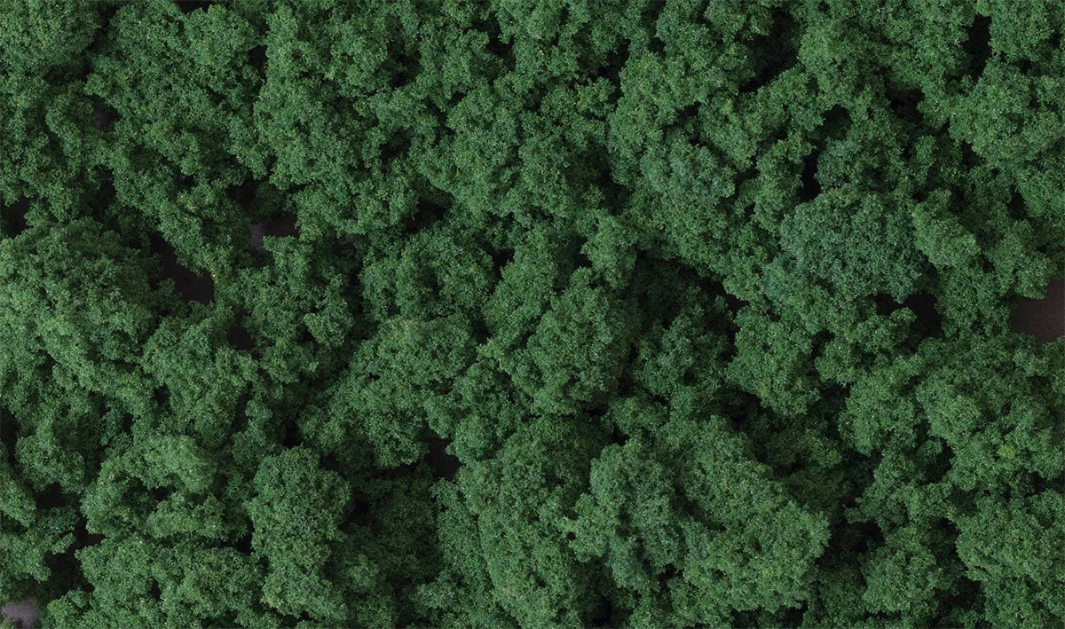 Dark Green Clump Foliage FC684