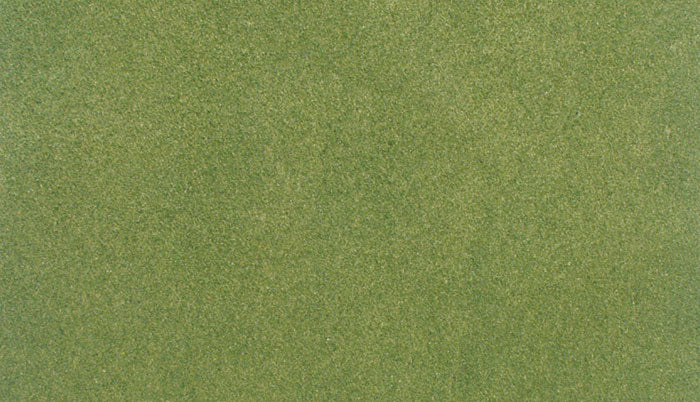 Woodland Scenics Spring Grass Rg5171