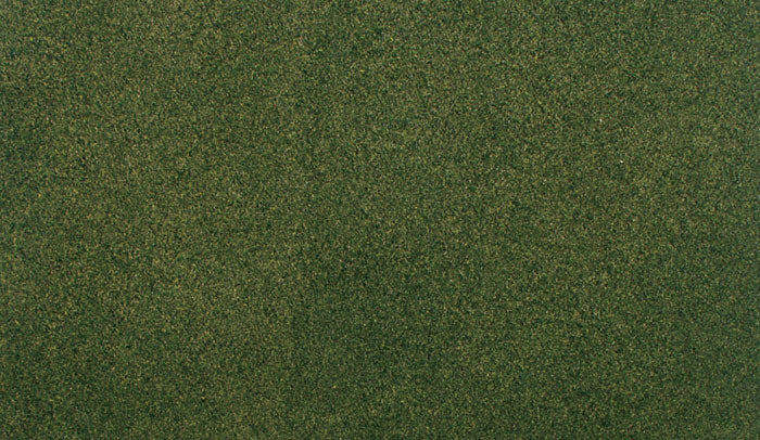 Woodland Scenics Forest Grass Rg5173
