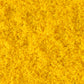Coarse Turf Fall Yellow. T1353