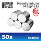 50xN52 Magnets 8x2  11519