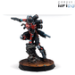 Code One Operation Crimson Stone